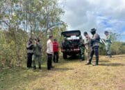 Smart patroli gabungan cegah ilegal logging di kawasan taman nasional tambora