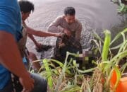 ‎Polres Loteng Evakuasi Penemuan Mayat di Aliran Sungai Kemulah.