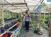 Warga Dusun Tempit Diajak Tanam Sayur di Pekarangan, Dukung Ketahanan Pangan Nasional