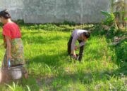 Bhabinkamtibmas Desa Jagaraga Ajak Warga Manfaatkan Lahan untuk Ketahanan Pangan