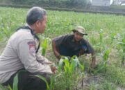 Bhabinkamtibmas Desa Sandik Dorong Warga Dukung Swasembada Pangan