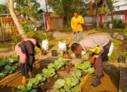 Jaga Ketahanan Pangan, Bhabinkamtibmas Kuripan Gelar Sosialisasi Pemanfaatan Lahan Produktif