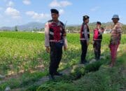 Polres Lombok Barat Pantau Ketahanan Pangan di Desa Tempos