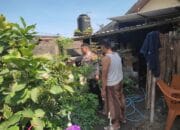 Peran Bhabinkamtibmas Kuranji dalam Perkuat Ketahanan Pangan Lokal