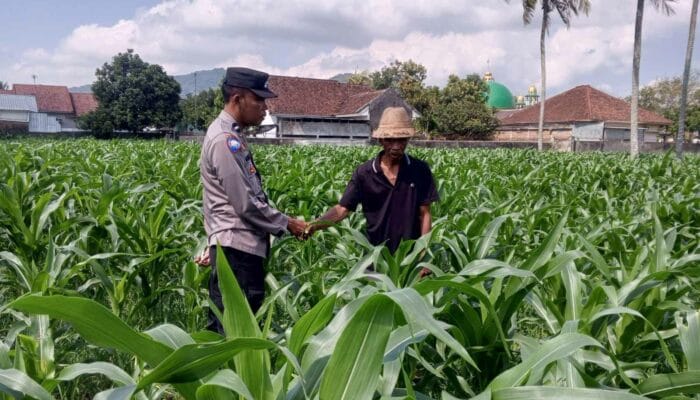 Polisi dan Warga Desa Kuripan Bersinergi Wujudkan Ketahanan Pangan Lokal
