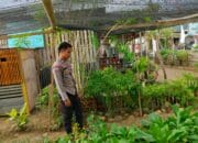 Dukung Program Asta Cita, Bhabinkamtibmas Desa Bangkat Monteh Dampingi Warga Kelola Pekarangan Bergizi
