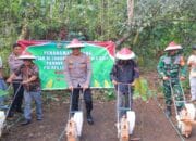 Polres Lombok Utara Gandeng Ponpes Tanam Jagung Serentak