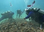 Bersih Pantai hingga penanaman terumbu karang di Dasar Laut, Cara Unik Polairud NTB Rayakan Kemerdekaan