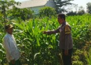 Bhabinkamtibmas Telagawaru Dorong Pemanfaatan Pekarangan untuk Ketahanan Pangan