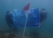 Upacara Bendera Bawah Laut dan Transplantasi Terumbu Karang, Semangat Kemerdekaan di Teluk Saleh