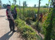 Polri Hadir di Tengah Petani, Jamin Ketahanan Pangan Melalui Patroli di Lombok Barat