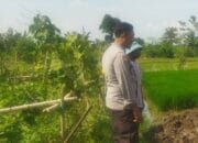 Polri Gerakkan Petani Lombok Barat Sukseskan Program Ketahanan Pangan Nasional