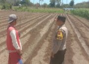 Polsek Rhee Dukung Ketahanan Pangan, Bhabinkamtibmas Ajak Warga Manfaatkan Lahan Kosong