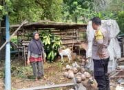 Polsek Batulayar Dorong Ketahanan Pangan Melalui Pemanfaatan Pekarangan di Dusun Krandangan