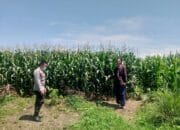 Bhabinkamtibmas Jagaraga Ajak Warga Manfaatkan Lahan untuk Ketahanan Pangan