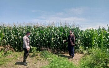 Polsek Kuripan Dorong Ketahanan Pangan Desa Jagaraga Lombok Barat