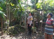 Polsek Kuripan Perkuat Program Ketahanan Pangan Lewat Pemanfaatan Pekarangan Desa Jagaraga