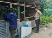 Sinergi Polri dan Warga Senggigi, Tanam Sayuran di Lahan Kosong untuk Perkuat Ekonomi Keluarga