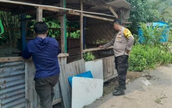 Sinergi Polri dan Warga Senggigi, Tanam Sayuran di Lahan Kosong untuk Perkuat Ekonomi Keluarga