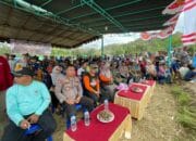 Lomba Barapan Kerbau Meriahkan HUT RI ke-80 di Desa Sekongkang Atas