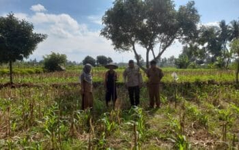 Bhabinkamtibmas, PPL, Desa Gelogor, Kediri Lombok Barat, ketahanan pangan
