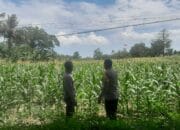 Polsek Labuapi Dorong Warga Dusun Jogot Tanam Hortikultura Guna Kemandirian Pangan