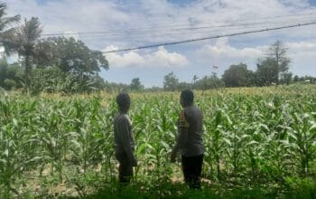 Polsek Labuapi Dorong Warga Dusun Jogot Tanam Hortikultura Guna Kemandirian Pangan