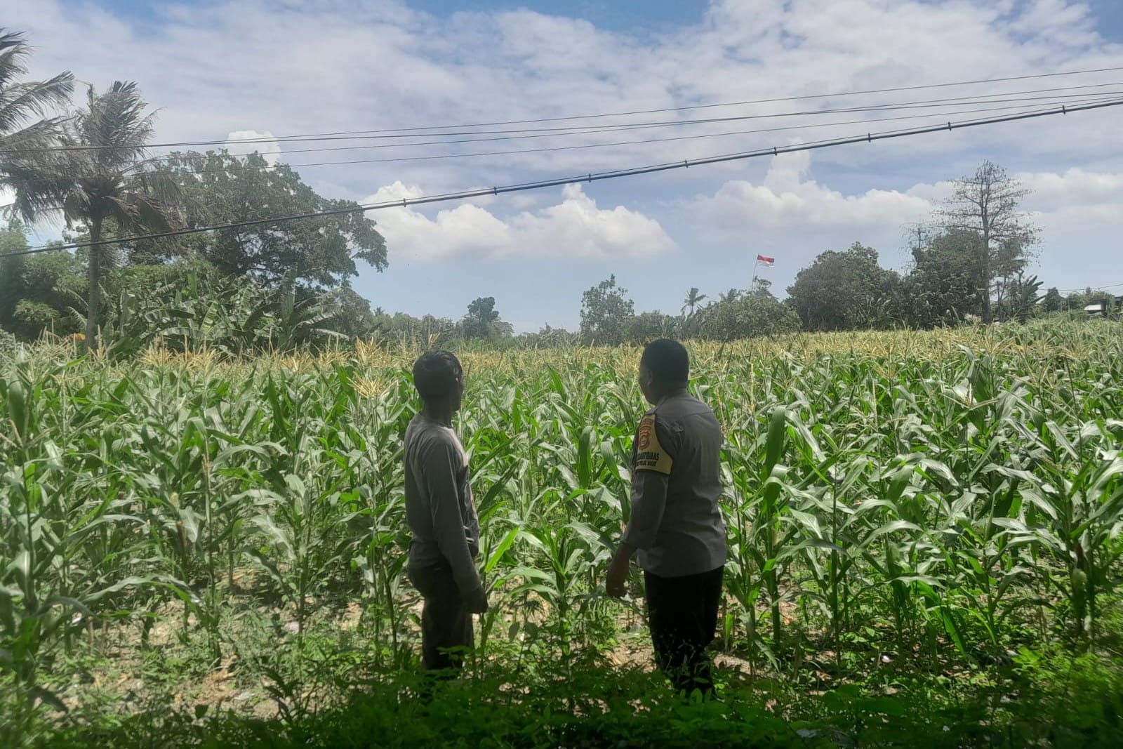 Polsek Labuapi Dorong Warga Dusun Jogot Tanam Hortikultura Guna Kemandirian Pangan