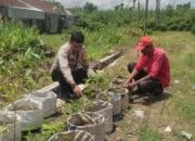 Sinergi Polsek Labuapi dan Warga Mapak Reong Dorong Pemanfaatan Pekarangan Produktif