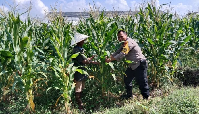 Ketahanan Pangan di Labuapi: Polisi Ajak Warga Manfaatkan Lahan Kosong