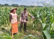 Polsek Labuapi Dorong Kemandirian Pangan Warga Karang Kebon