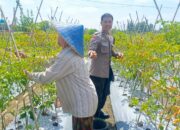 Bhabinkamtibmas Desa Perampuan Dorong Warga Karang Bayan Manfaatkan Lahan Bergizi