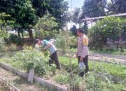 Sinergi Polri dan Petani Dusun Tegal Wujudkan Kemandirian Pangan Desa Jagaraga