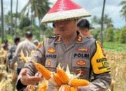 Dukung Asta Cita Presiden, Polres Lombok Utara Sukses Gelar Panen Raya Jagung di Kayangan