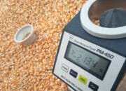 Infrastruktur Jalan Ekstrem Hambat Distribusi Jagung Petani Sekotong