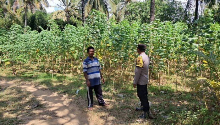 Polsek Sekotong Ajak Warga Desa Pelangan Wujudkan Pekarangan Pangan Bergizi