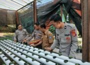 Sat Binmas Polres Bima Kota Laksanakan Kunjungan dan Pengecekan Lahan Pertanian di SMKPPN Bima