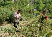Sinergi Polri dan Warga: Bhabinkamtibmas Moteng Kawal Program Ketahanan Pangan Nasional