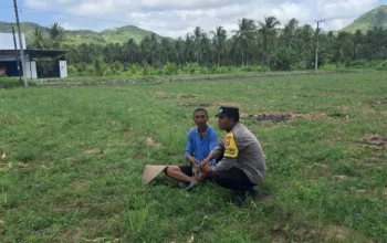 Bhabinkamtibmas Pelangan Gerakkan Warga Tanam Jagung untuk Ketahanan Pangan