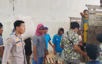 Petani Lega! Jagung Kering Terserap Bulog dengan Harga Acuan Pemerintah