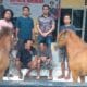Misteri Hilangnya Sepasang Kuda Terungkap, Dua Pria Pencurinya Sukses Dibekuk Tim Opsnal Polsek Rastim