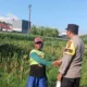Bhabinkamtibmas Dampingi Kadis Pertanian Tinjau Irigasi di Ombe Baru