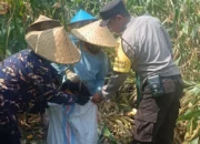 Polres Lombok Barat Cek Harga Beras, Pastikan Tak Ada Permainan Harga