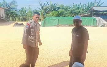 Sinergi Polisi dan Petani Jaga Pasokan Jagung di Lombok Barat