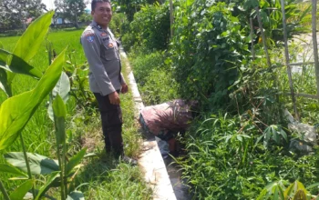 Petani Jagaraga Didorong Polri Tanam Padi dan Jagung untuk Pangan Lokal