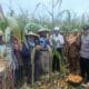 Bhabinkamtibmas Gerung Kawal Panen Jagung, Petani Sumringah!