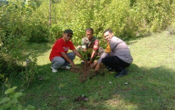 Peringati Hari Penanaman Pohon, Bhabinkamtibmas dan Elemen Desa Semamung Hijaukan Bale Kawa