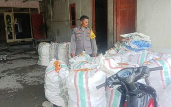 Sinergi Polri–Petani di Beleka: Kualitas Jagung Dijaga Ketat untuk BULOG