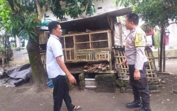 Didorong Bhabinkamtibmas, Warga Mulai Kembangkan Kandang Ayam