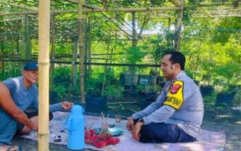 Aksi Bhabinkamtibmas Labuapi Perkuat Pangan Keluarga Melalui Optimalisasi Pekarangan